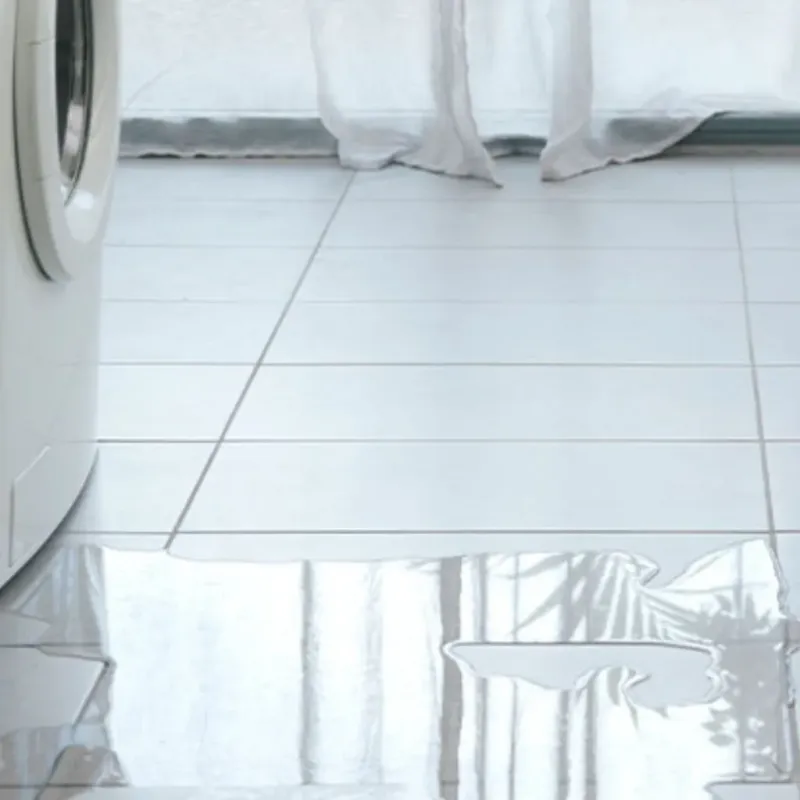Appliance Leak Cleanup in Luray, VA