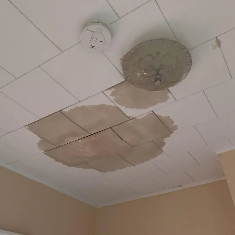 Ceiling Water Damage Repair in Luray, VA