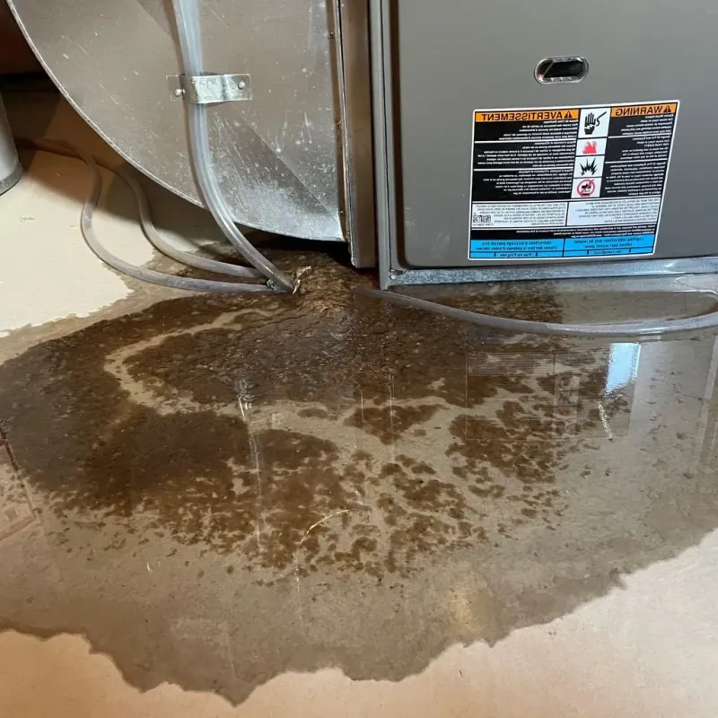 Pipe Burst and Leak Restoration in Luray, VA