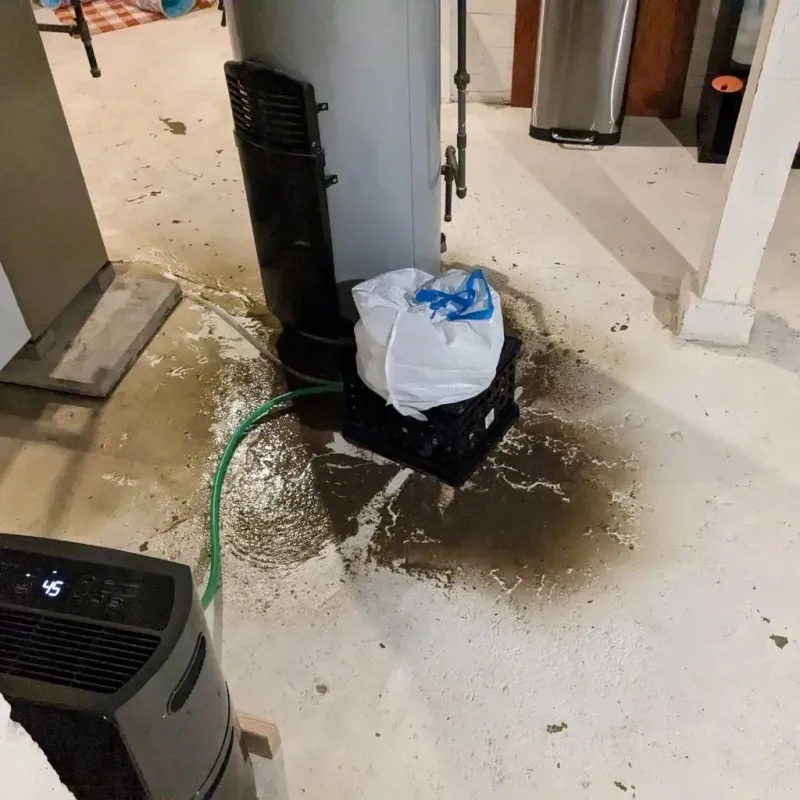 Sewage Backup Cleanup Service in Luray, VA